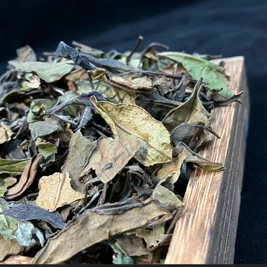Honey Orchid Peony | Organic White Tea