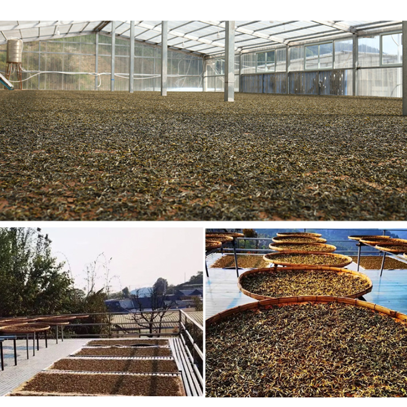 Yunnan Black Gold | Organic Black Tea